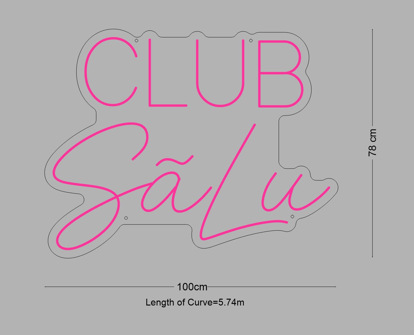 Custom Sign: CLUB SãLu