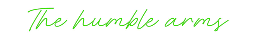 Custom Neon: The humble arms