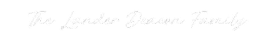 Custom Neon: The Lander De...