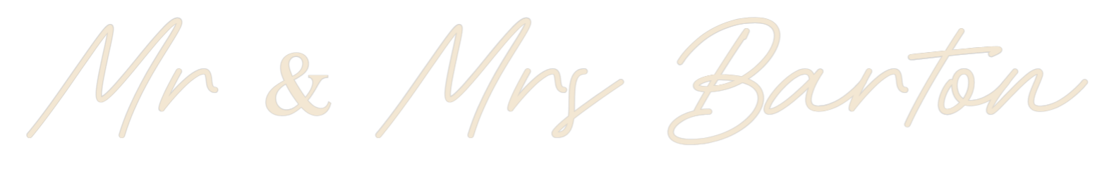 Custom Neon: Mr & Mrs Barton