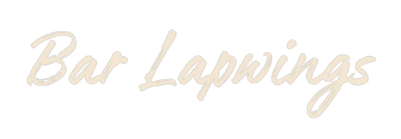 Custom Neon: Bar Lapwings