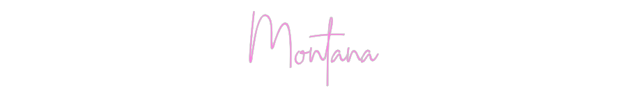 Custom Neon: Montana