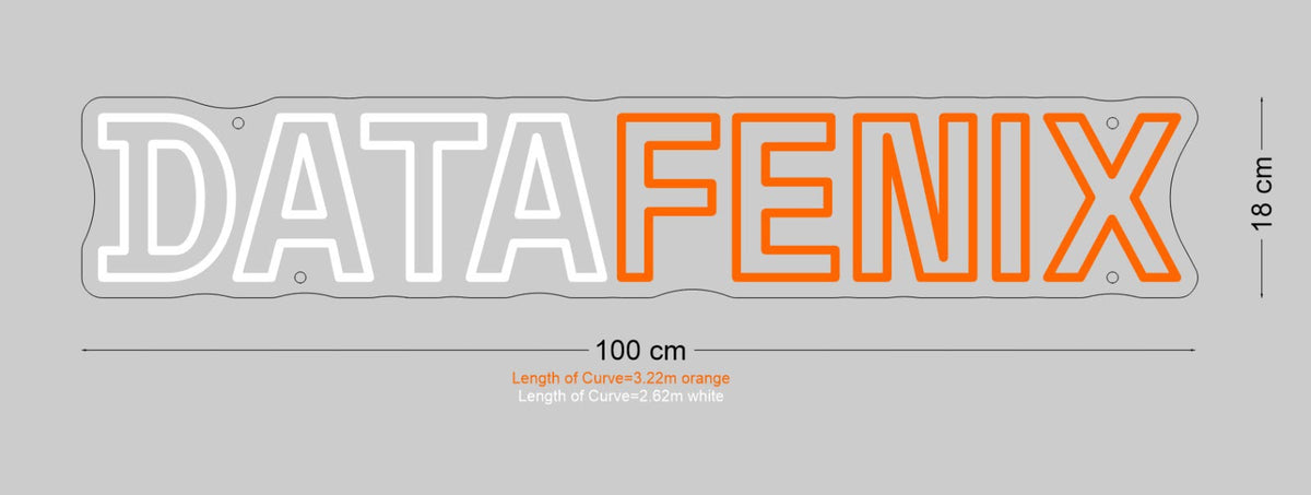 Custom Sign: DATAFENIX