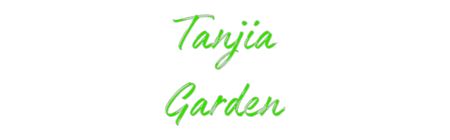 Custom Neon: Tanjia
Garden