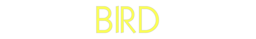 Custom Neon: BIRD