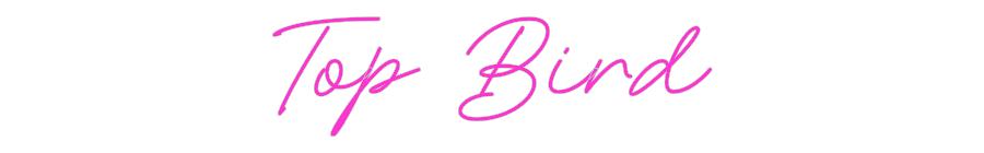 Custom Neon: Top Bird