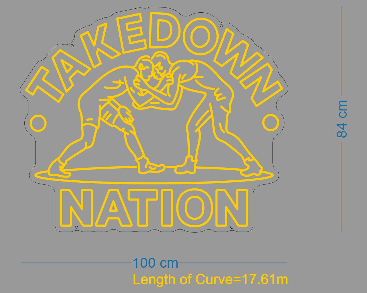 Custom Sign: TAKE DOWN NATION
