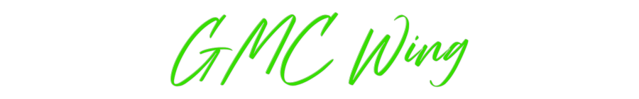 Custom Neon: GMC Wing