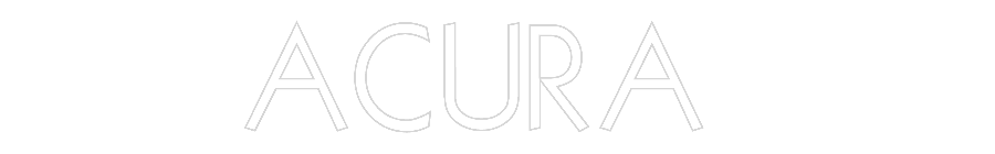 Custom Neon: ACURA