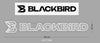Custom Neon Sign Blackbird