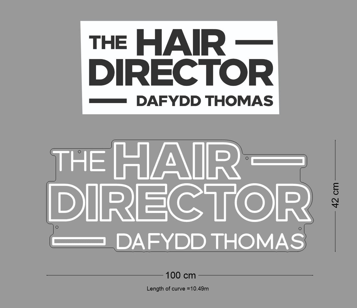 Custom Sign: The HAIR DIRECTOR