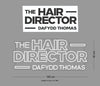 Custom Sign: The HAIR DIRECTOR