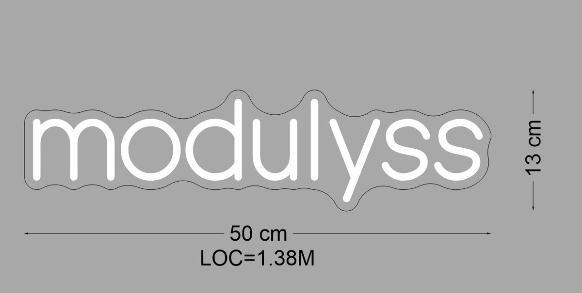Custom Neon Sign Modulyss ( COOL WHITE)