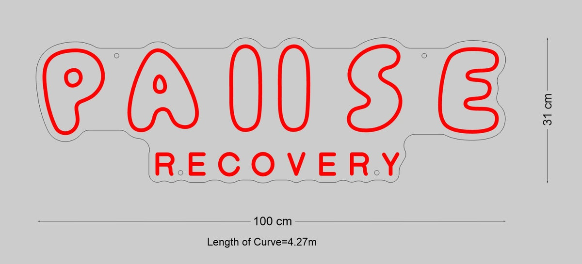 Custom Neon Sign Pause