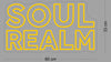 Custom Neon Sign Soul Realm