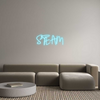Custom Neon: STEAM