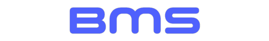 Custom Neon: BMS
