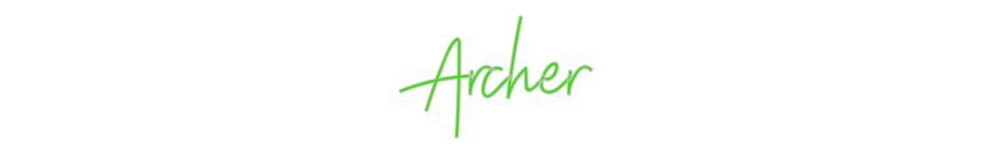 Custom Neon: Archer