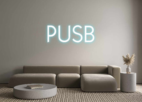 Custom Neon: PUSB