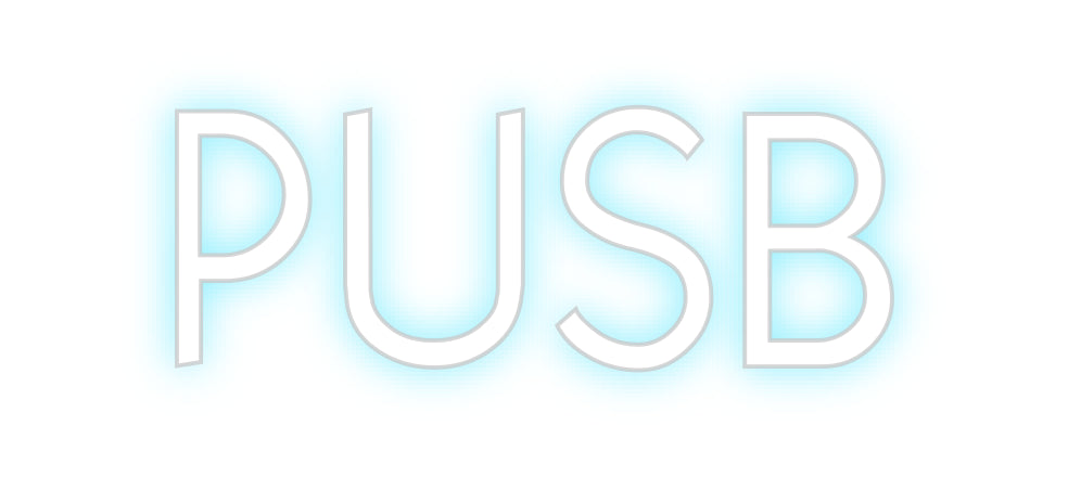 Custom Neon: PUSB