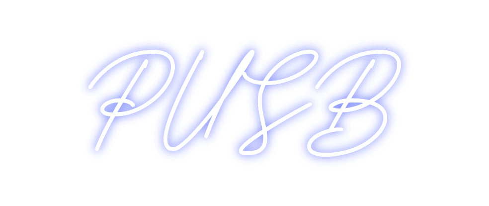 Custom Neon: PUSB