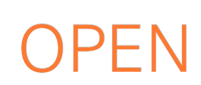 Custom Neon: OPEN