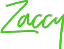 Custom Neon: Zaccy