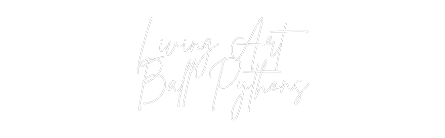 Custom Neon: Living Art
B...