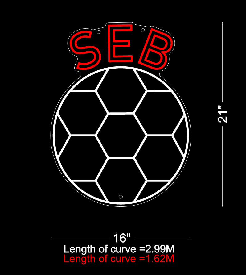 Custom Neon: SEB