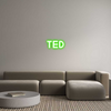 Custom Neon: Ted